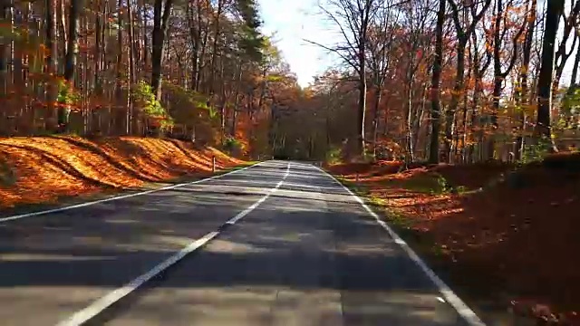 在秋天的森林里开车视频素材