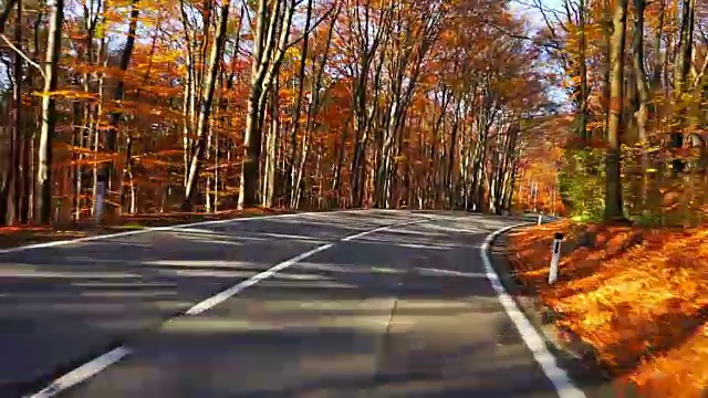 在秋天的森林里开车视频素材
