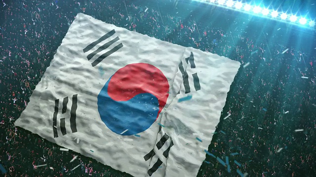 体育场有韩国国旗视频素材