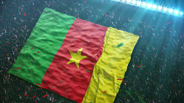 喀麦隆国旗在体育场视频素材