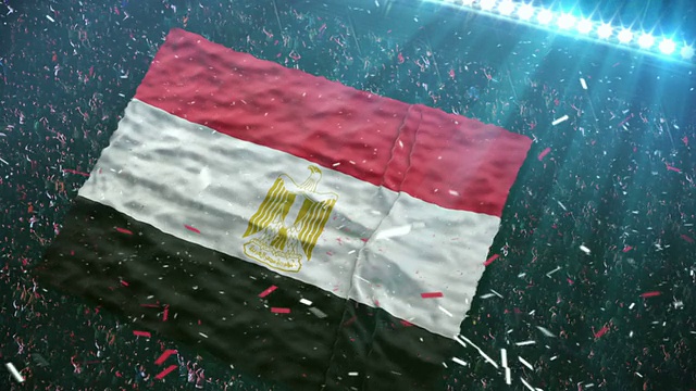 体育场有埃及国旗视频素材