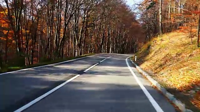 秋天穿过森林的路视频素材