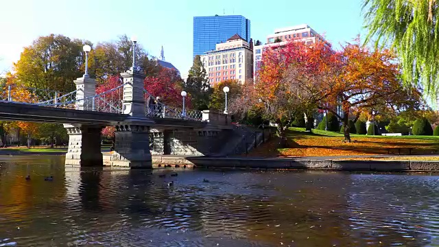 秋天在波士顿视频下载