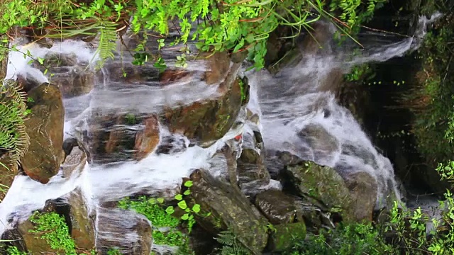 红溪瀑布位于原始森林中视频素材