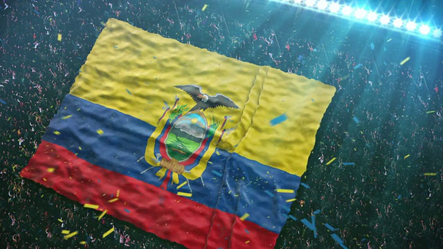 厄瓜多尔国旗在体育场视频素材