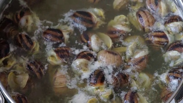 烹饪食用蜗牛视频下载