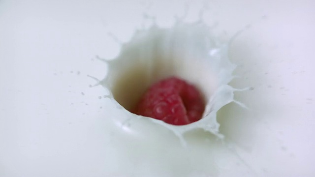 CU SLO MO Shot覆盆子落入牛奶/加拿大安大略省多伦多视频素材