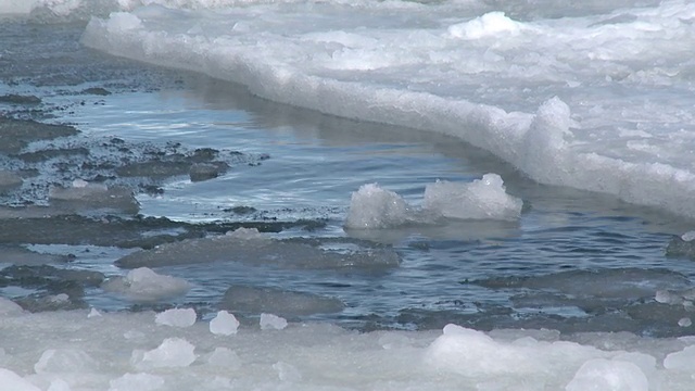 南极华盛顿角冰洞表面的豹海豹视频下载