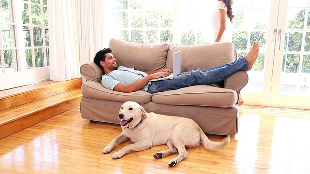 一对迷人的夫妇和宠物拉布拉多犬在客厅里放松视频素材