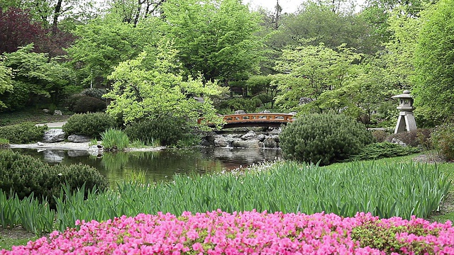 带桥的日式花园视频下载