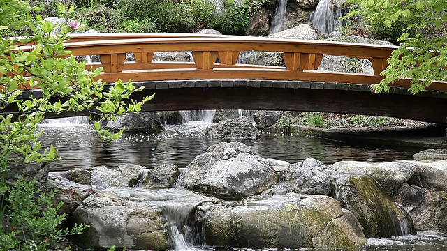 带桥的日式花园视频素材