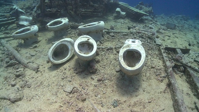 在海底的马桶被蓟虫破坏;潜水员离开了南极洲视频下载
