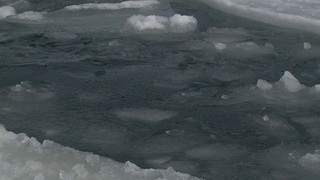 南极华盛顿角的冰洞表面，潜水豹海豹视频下载