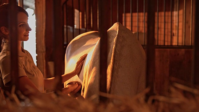 一个女人在日出时在他的马厩里梳理她的马视频素材
