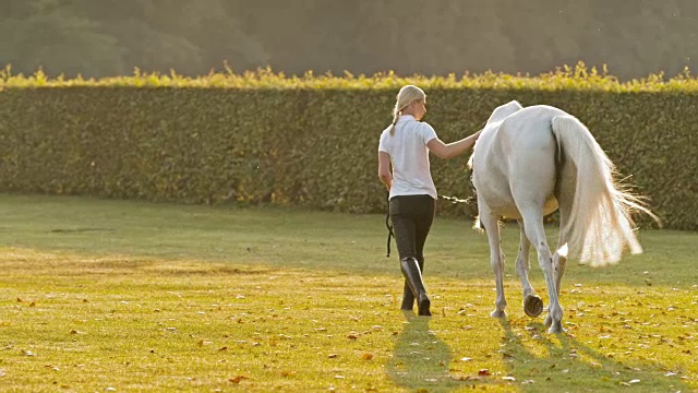 一个女人在日出的时候牵着一匹白马走来走去视频素材