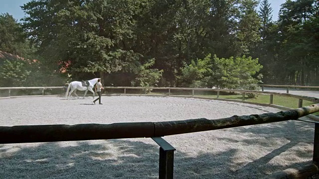 在圆形围栏里训练一匹鞍马视频素材