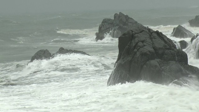 飓风中巨浪冲上岸视频素材