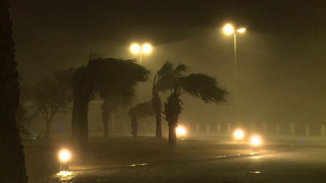 愤怒的飓风眼墙睫毛棕榈树视频素材