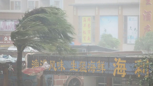 猛烈的飓风眼墙风猛烈袭击城市视频下载