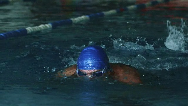 游泳运动员在做蝶泳视频下载