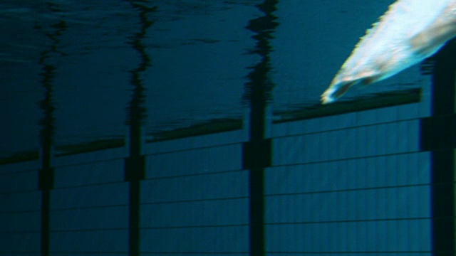 男子游泳运动员跳入泳池视频素材