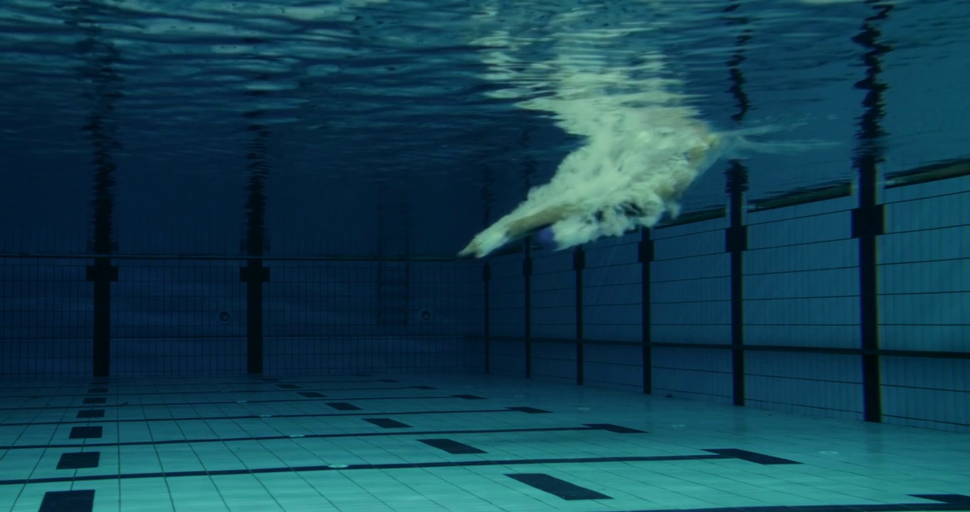 女游泳运动员跳进泳池视频素材