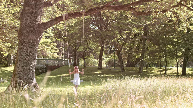 SLO MO DS女孩在一棵大树下荡秋千视频素材