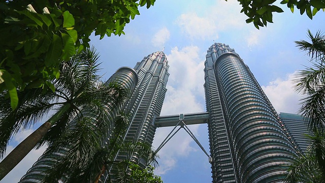 马来西亚吉隆坡，双子星塔与树和棕榈视频下载
