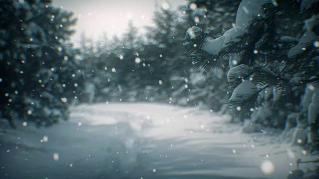 冬季景观和雪(可循环)视频下载