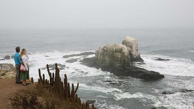 一对夫妇沿着悬崖边冲浪，海岸线在雾中视频素材