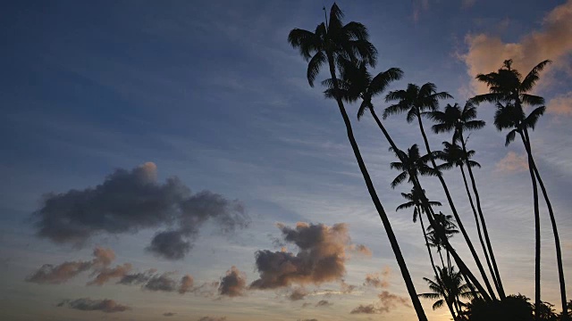夏威夷热带日落:视频素材
