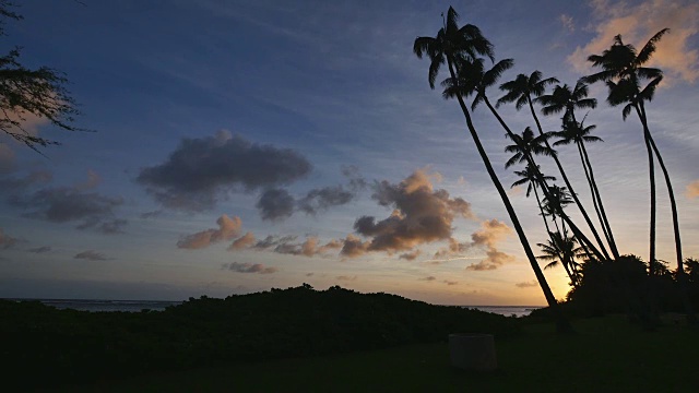 夏威夷热带日落:视频素材