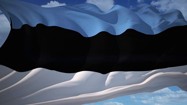 爱沙尼亚的国旗视频下载
