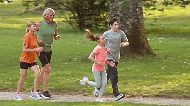 爷爷奶奶和孙子孙女们在阳光明媚的公园里慢跑视频素材