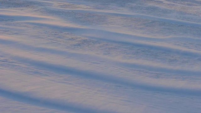 滑翔的雪视频下载