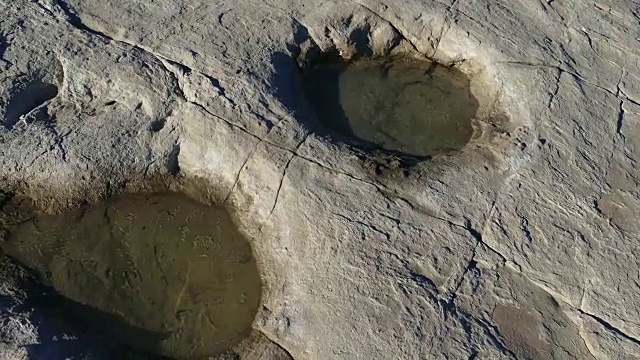 侏罗纪迷惑龙蜥脚类恐龙的足迹位于科罗拉多炼狱河视频素材