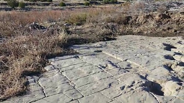 新发现的恐龙足迹在科罗拉多尖桩线峡谷地视频素材