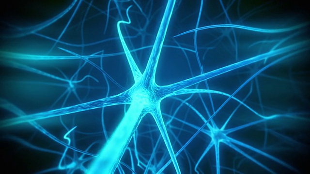 神经元内侧可循环动画视频素材