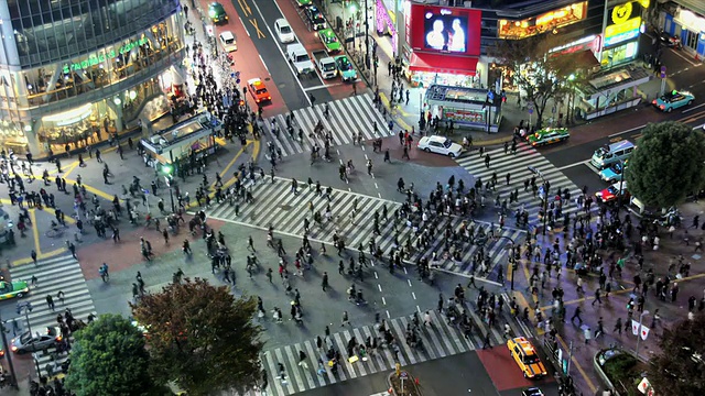 WS T/L ZI HA拍摄于世界上最繁忙的步行街涩谷/日本东京视频素材