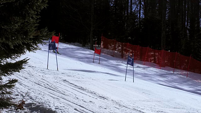 在大回转比赛中竞争的女子高山滑雪运动员视频下载