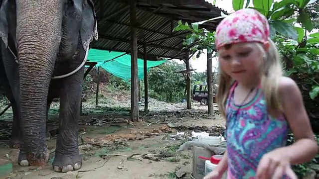 小女孩正在喂大象香蕉。视频素材