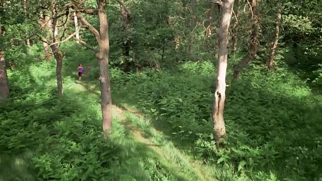 空中女子在阳光下的森林小径上奔跑视频素材