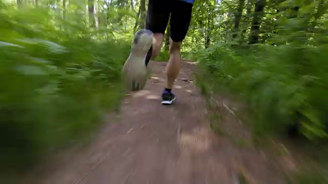 一个男性跑步者的腿穿过森林视频素材