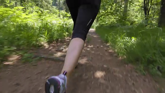 一只女性沿着森林小径奔跑的腿视频素材