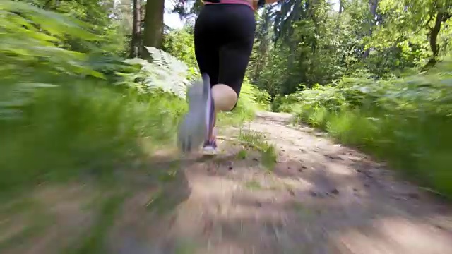一只雌性在森林中奔跑的腿视频素材