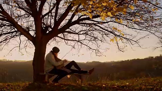 日落时分，一对恩爱的情侣坐在树下视频下载