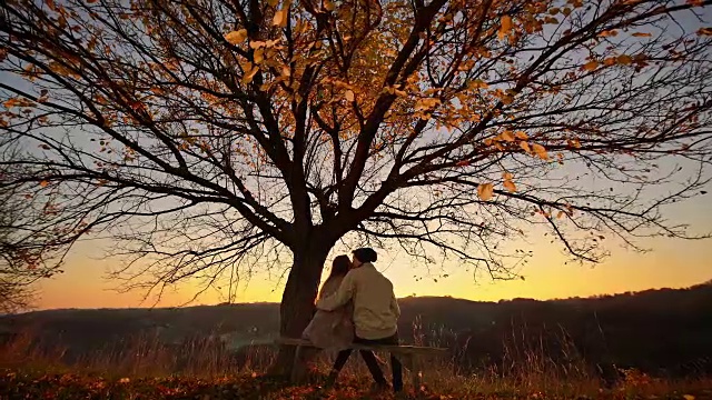 一对深情的情侣坐在树下的长凳上视频下载