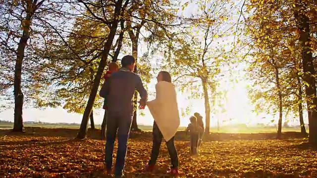 一家人在秋天公园散步视频素材