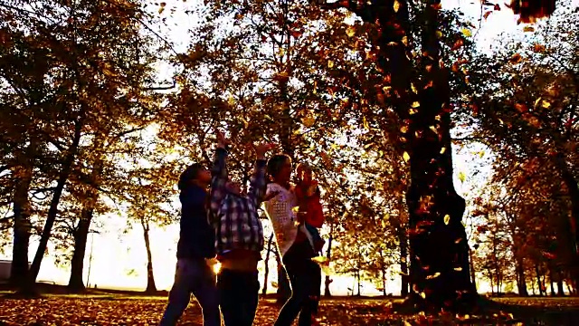 SLO MO家庭散叶在日落视频素材