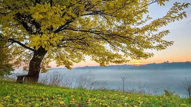 田园诗般的秋天日出视频素材